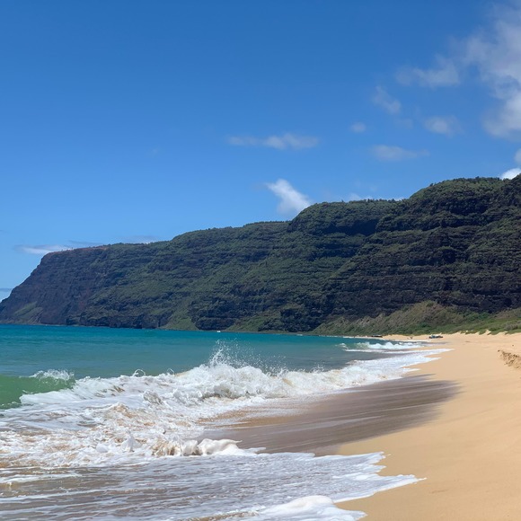 kamaehu